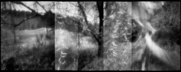 xp2zonem7olft_testmay09_2