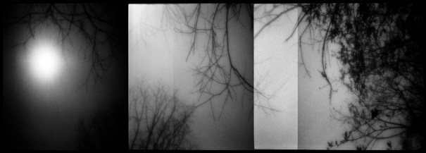 xp2zonem7olft_testmay09_3