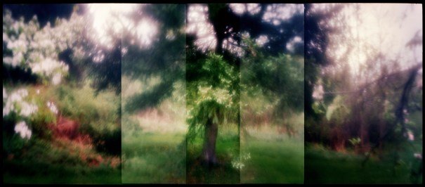 ZonePlateLongHHExpTestEktar100