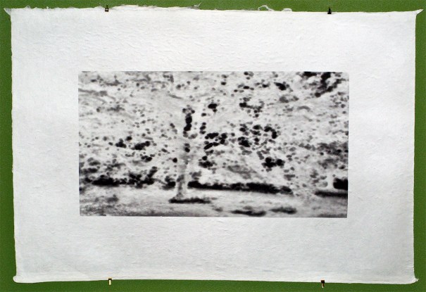 Pinzone-2Pinhole28mm Pinzone-2Pinhole28mm