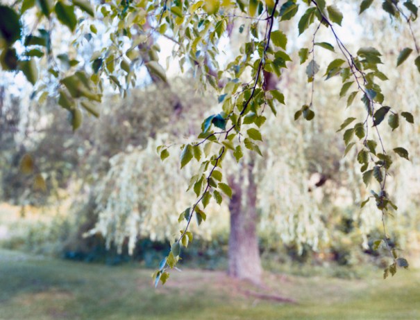 FRInstantTestImageAug09