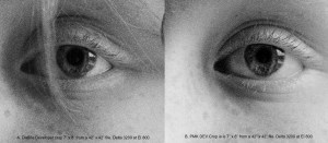 CropDelta3200atEI800Compare