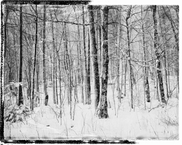 Fuji FP 100C Satin Recovered Negative (CLICK FOR LARGER VIEWS)