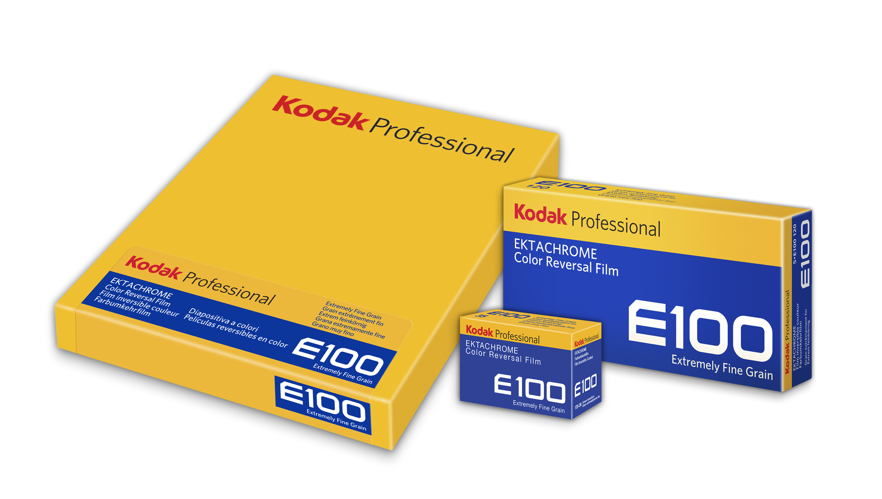 Kodak Ektachrome E100 is BACK in 120 and 4×5 – Full Review 