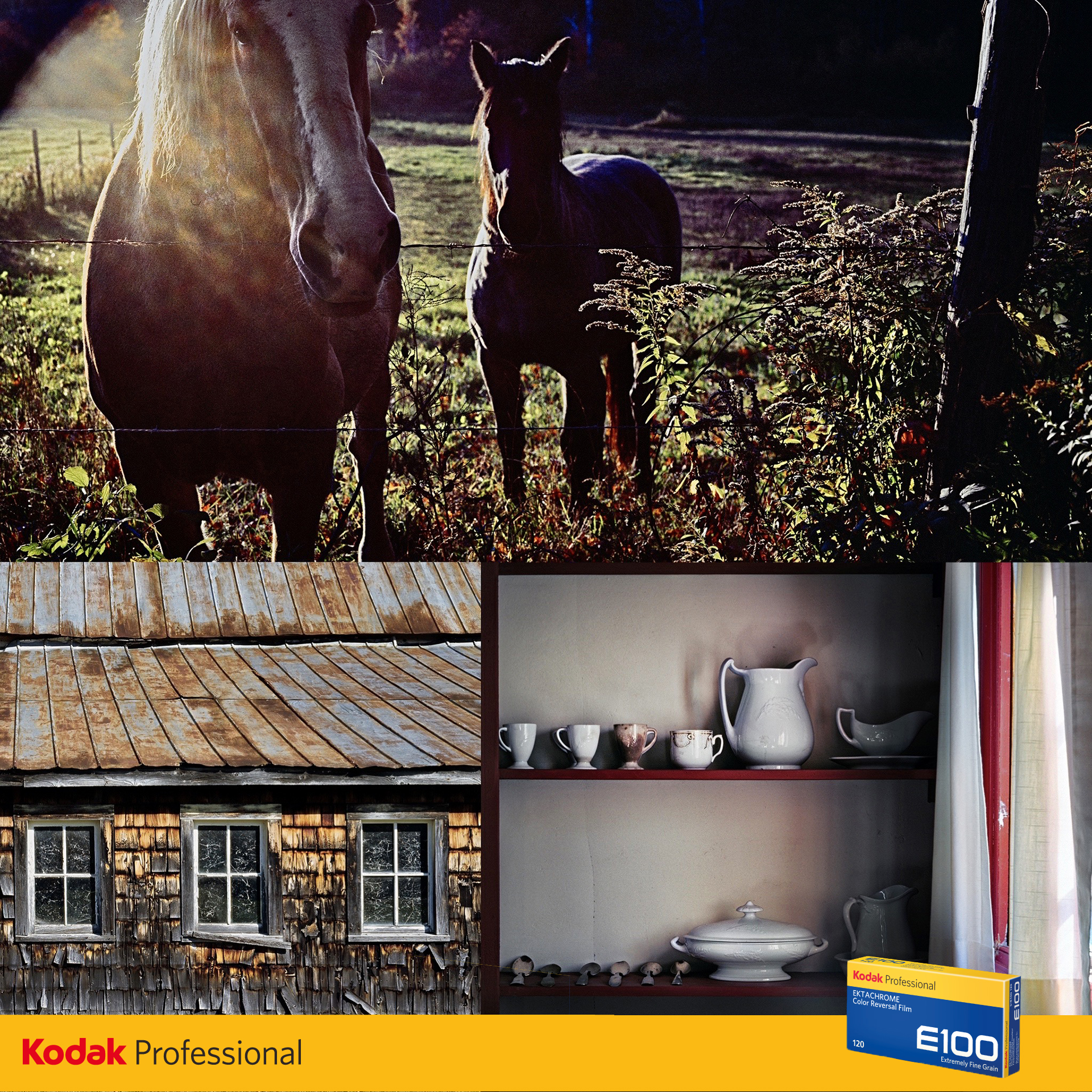 SchaubIGFinalKodakE100Group_A