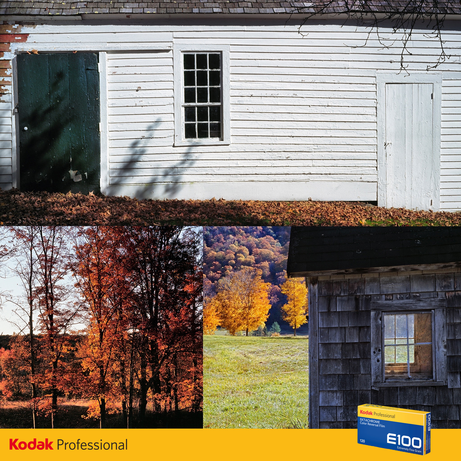 SchaubIGFinalKodakE100Group_B