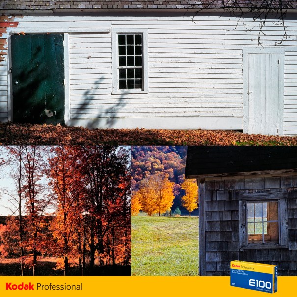 SchaubIGFinalKodakE100Group_B